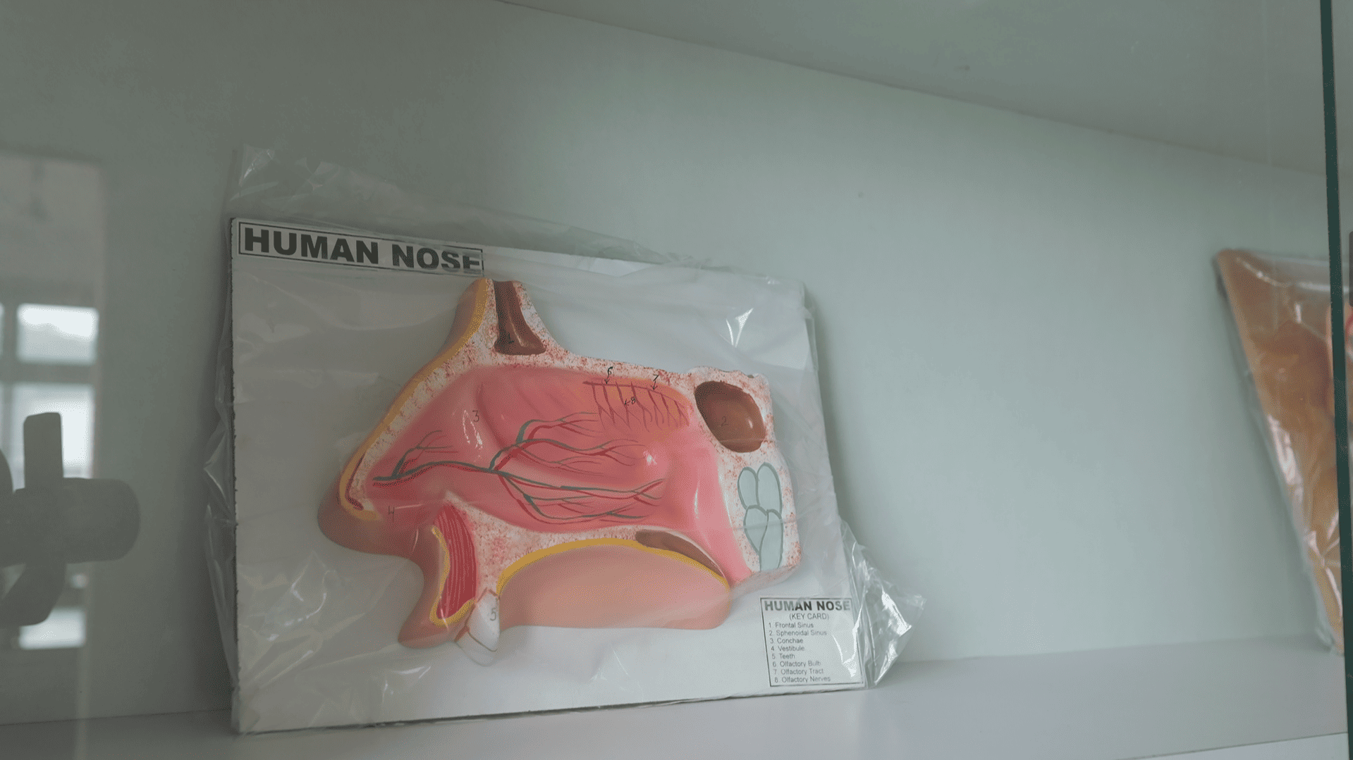 Pragjyotishpur University Guwahati Museum photo 9